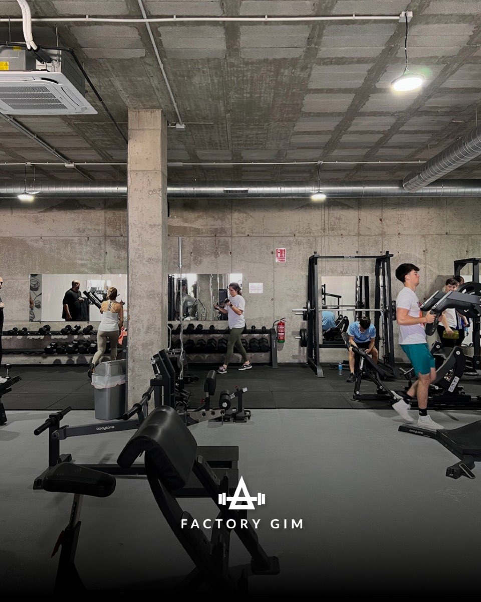 Área de musculación y peso libre